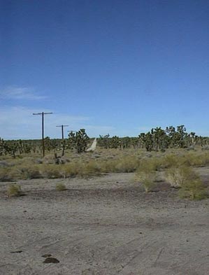In the Middle of Nowhere!