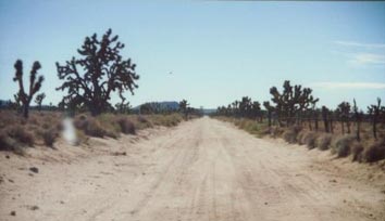 The Dirt Road