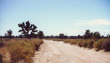 Telephone Poles on the Horizon !!